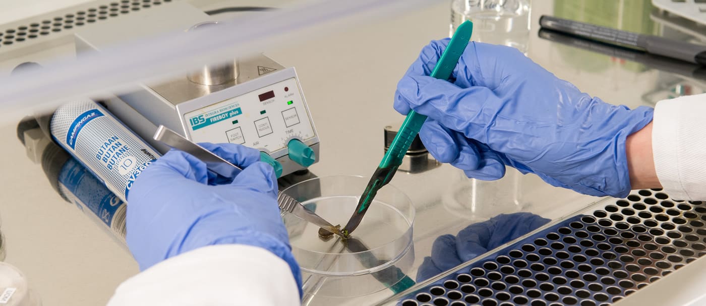 Biotechnik-4