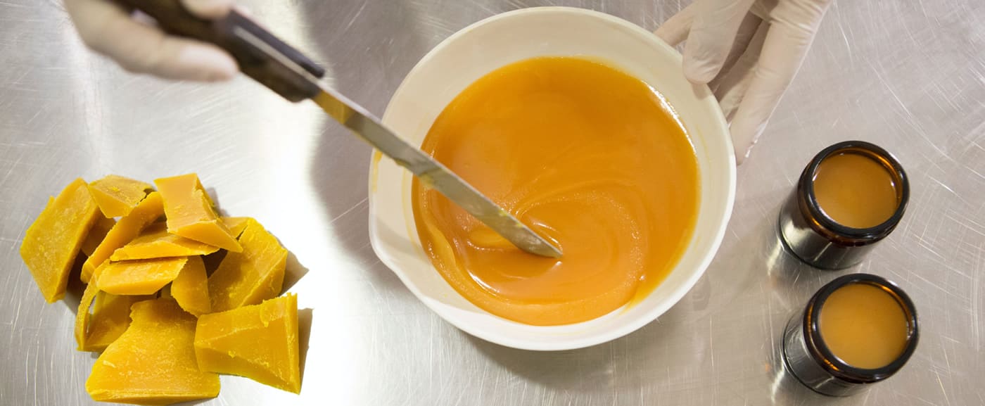 Ernährungswissenschaft-1